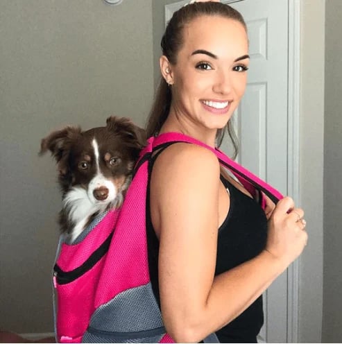 PawStride – Airy Summer Outdoor Backpack for Pets