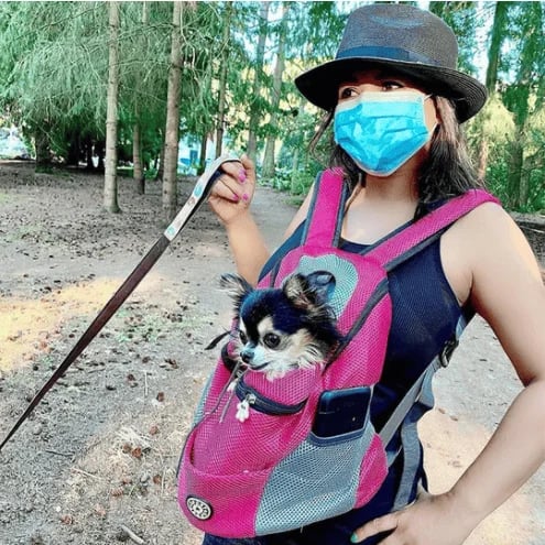 PawStride – Airy Summer Outdoor Backpack for Pets
