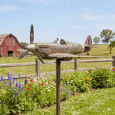 EddieSpin – 50th Anniversary Commemorative Wind Spinner