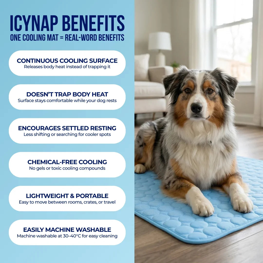 PolarComfort – Breathable Pet Cooling Bed