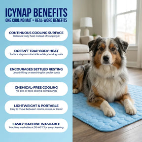 PolarComfort – Breathable Pet Cooling Bed