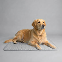 PolarComfort – Breathable Pet Cooling Bed