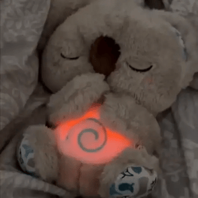 The Relief KoalaBear