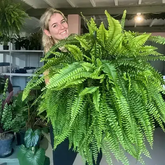 LeafLuxe – Realistic UV Protected Artificial Boston Fern