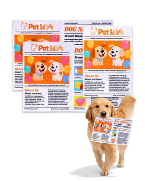PupChronicle – Interactive Dog Toy