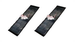 CatchMax – Mouse Trap Mat