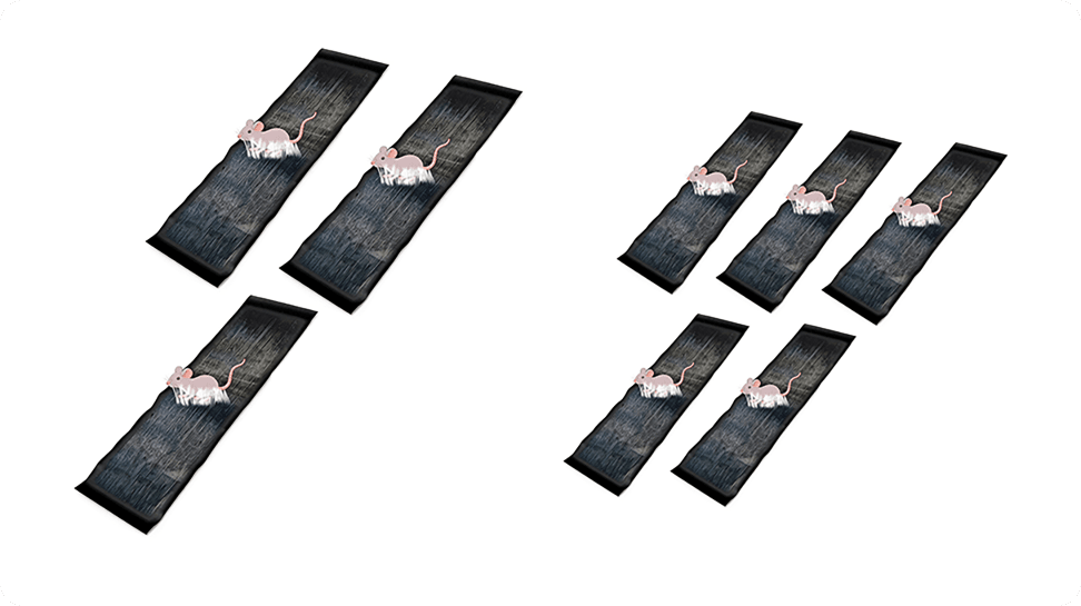 CatchMax – Mouse Trap Mat