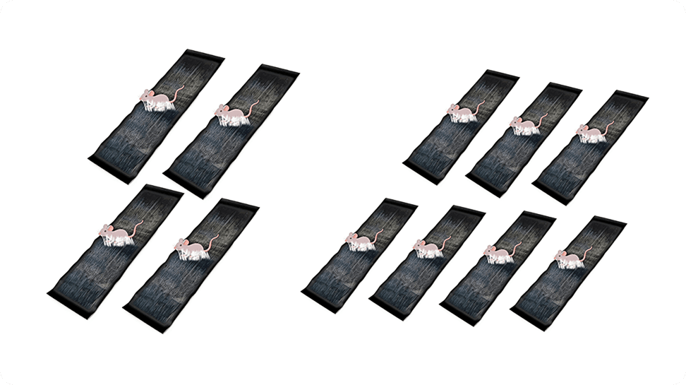 CatchMax – Mouse Trap Mat