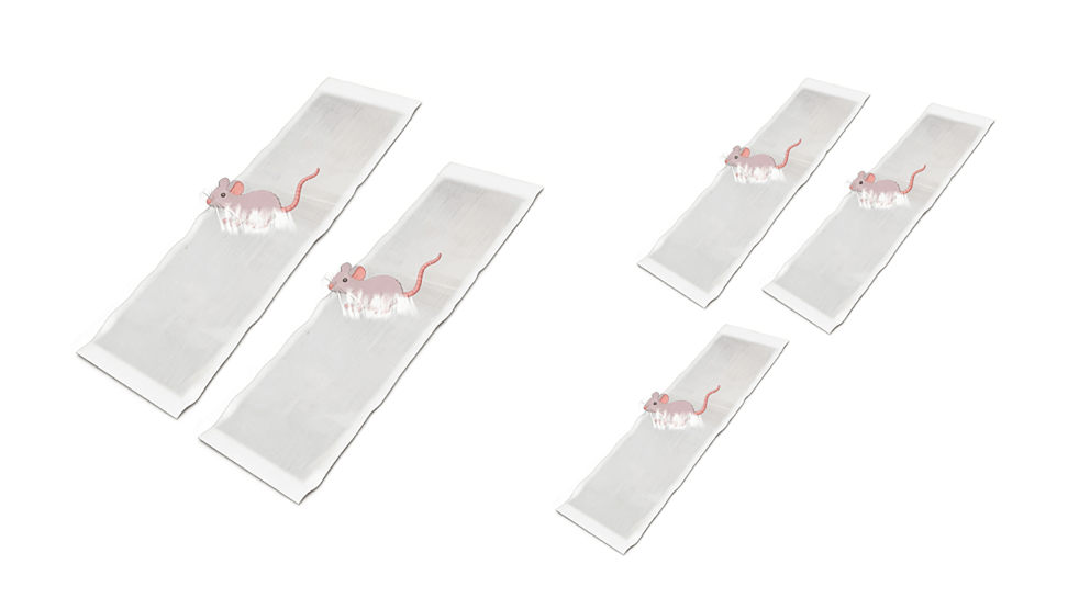 CatchMax – Mouse Trap Mat