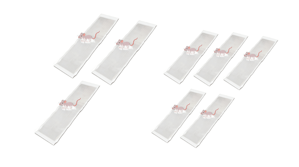 CatchMax – Mouse Trap Mat