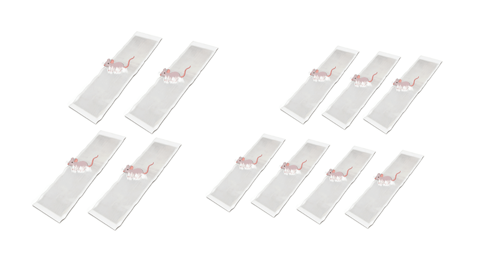 CatchMax – Mouse Trap Mat