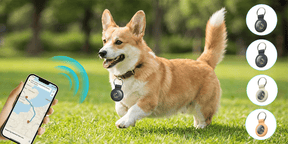 Findora – Mini Real-Time Smart Tracking Device