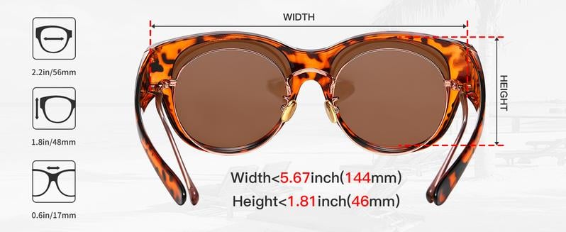 Eclipse Chic – Trendy Cat Eye Eyewear