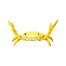CrabFlex – Weightlifting Crab Pen Holder