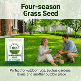 EverLawn – All-Season Green Grass Seed