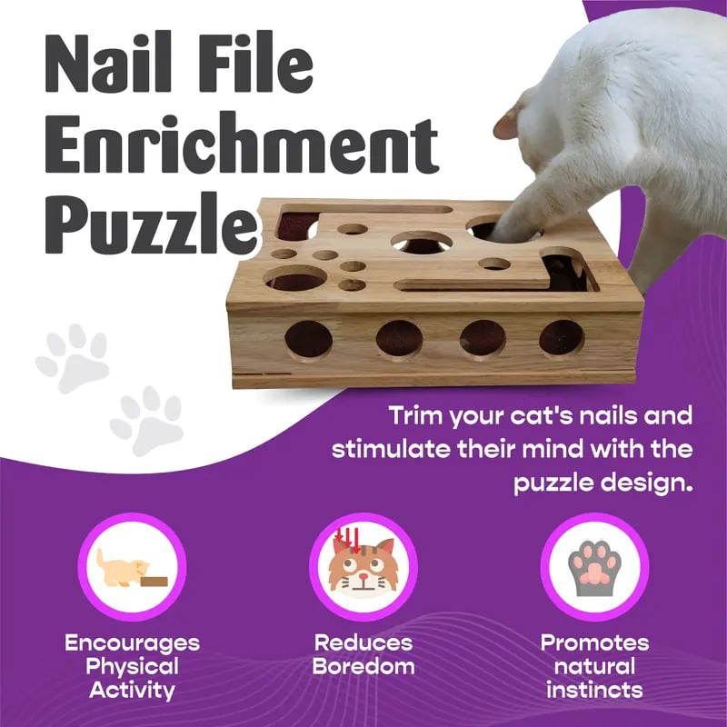 PawPuzzle – Cat Enrichment Scratch & Play Box