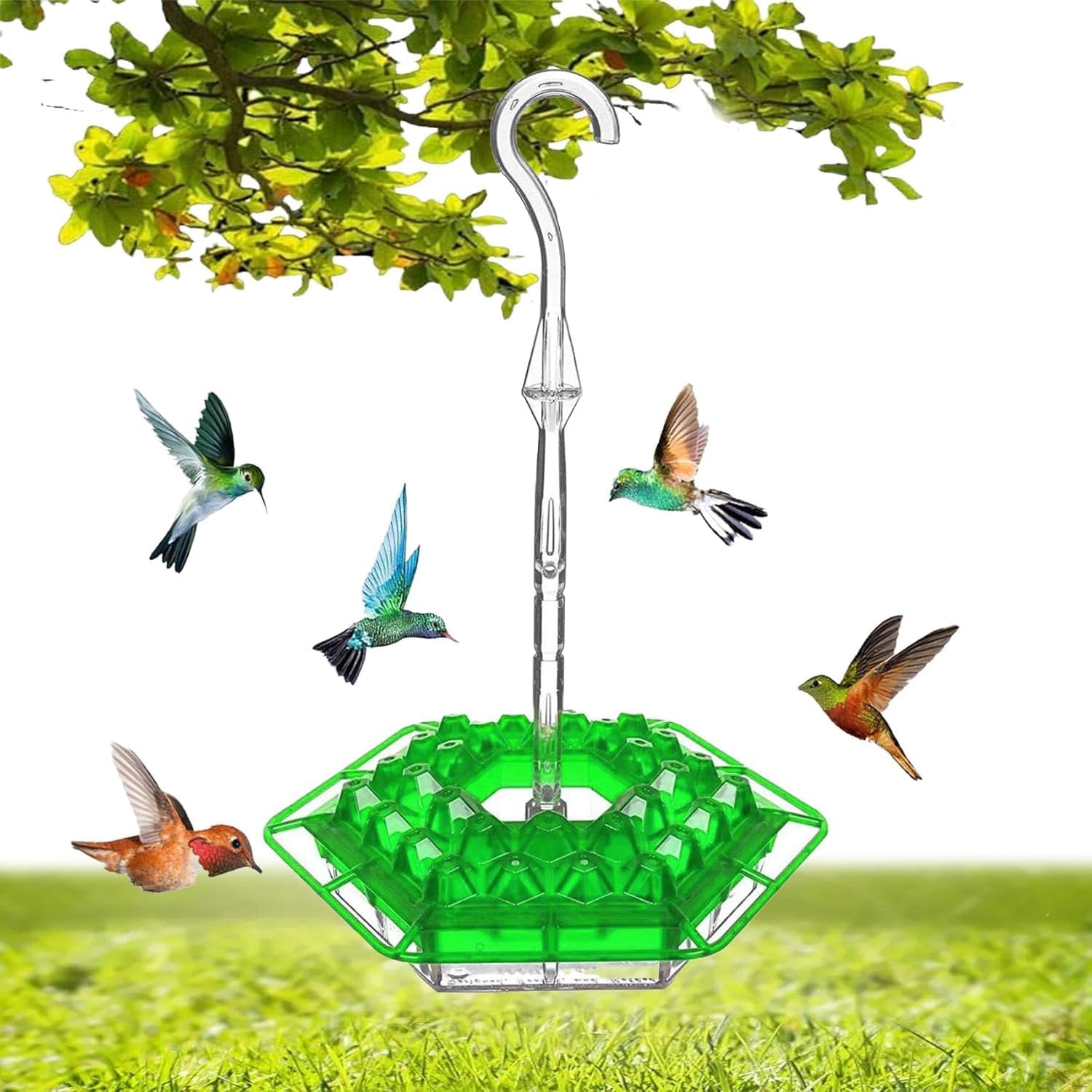 BirdBliss - Hanging Hummingbird Feeder