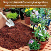 CocoBloom – Natural Coconut Coir Bricks for Plants