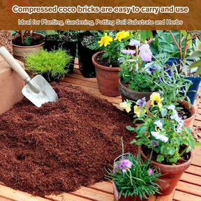 CocoBloom – Natural Coconut Coir Bricks for Plants