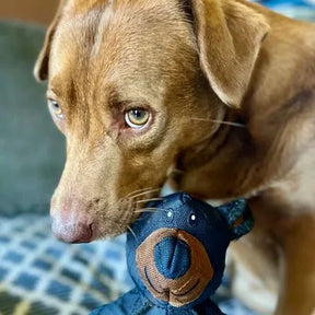 BearTough -  Durable Chew Toy