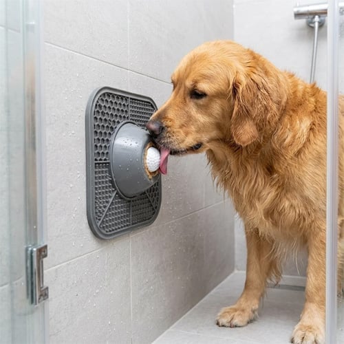 TreatMotion – 2-in-1 Lick Mat Feeding Toy