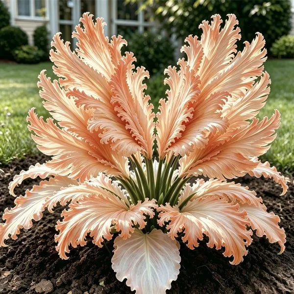 GardenGrace – Swan Feather Hosta Bulbs Collection