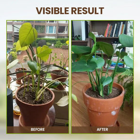 SoilNova – Soil Pro Activator