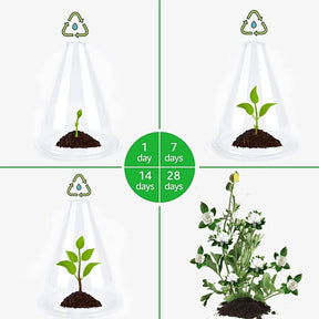 EcoBloom – Reusable Greenhouse Plant Covers
