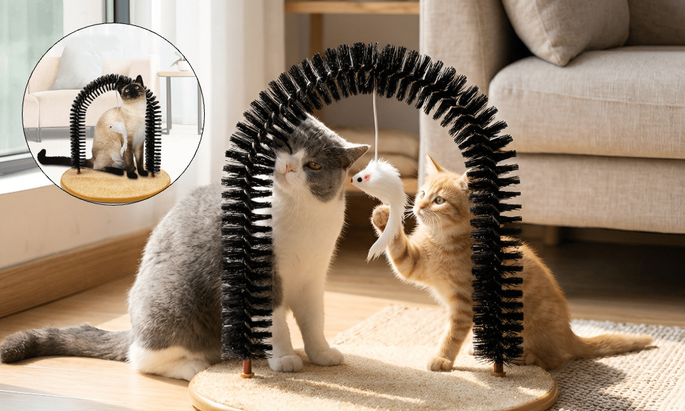 PawArch – Curved Cat Scratching Arch