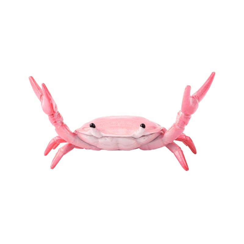 CrabFlex – Weightlifting Crab Pen Holder