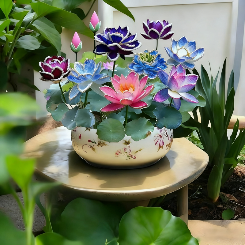 ZenLotus – Midnight Purple Lotus Seeds