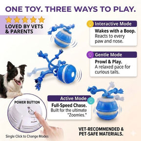 WagRoll – Motion Activated Pet Ball
