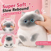 SquishPaws – Premium Sensory Stress Relief Toy