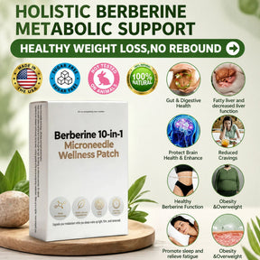 MetaFlow – Daily Wellness Microneedle Patch