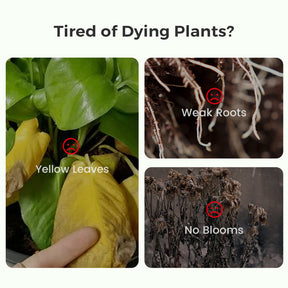 BloomFuel – Plant Growth Formula
