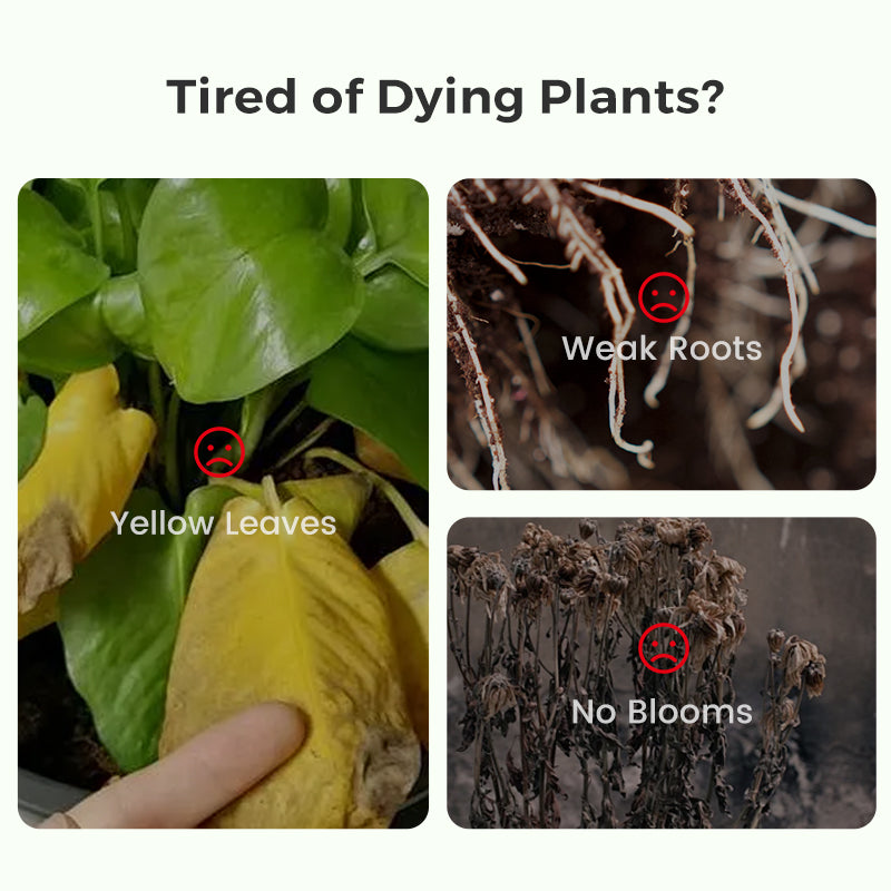 BloomFuel – Plant Growth Formula