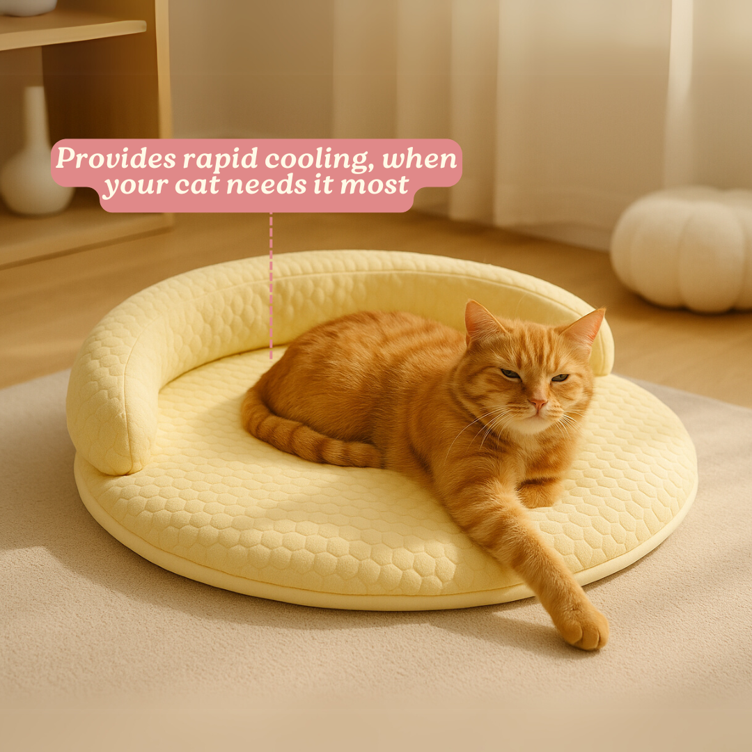 PurrBreeze – Orthopedic Cat Sleep Bed