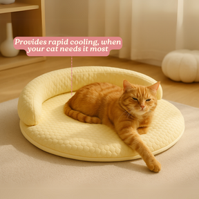 PurrBreeze – Orthopedic Cat Sleep Bed
