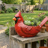 🐦2026 Mother's Day Gifts 50% Off--💖🎁Cardinal Bird Succulent Planter