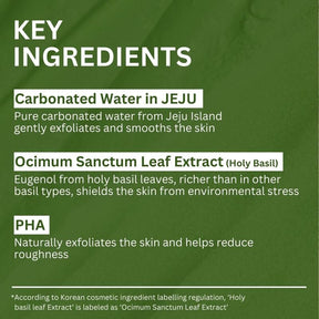 HerbaGlow – Holy Basil Bubble Deep Cleansing Mask