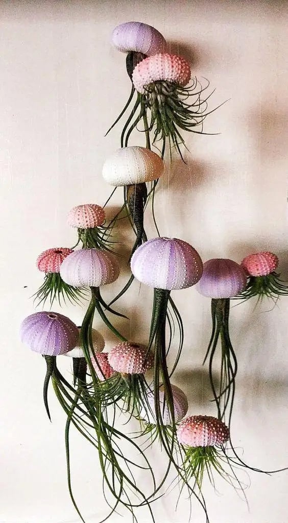 AquaBloom – Hanging Air Plant Jellyfish