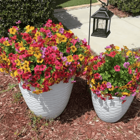 VividPetals – All-Weather Floral Set
