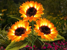 🌻Mother's Day Sale 49% OFF- 🌞Solar LED Sunflower Garden Lights-29.6inch/74cm