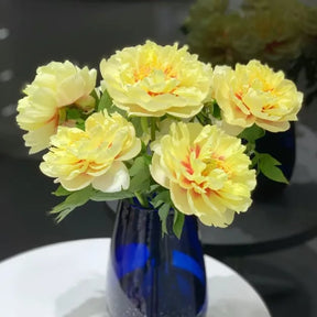 RoyalBloom - Luxurious Peony Flower Seeds | The Queen of Flowers