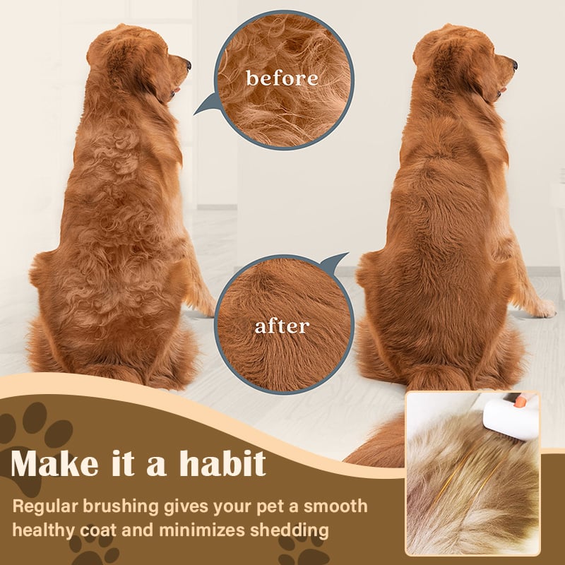 PawGroom – Self-Detangling Pet Brush & Comb