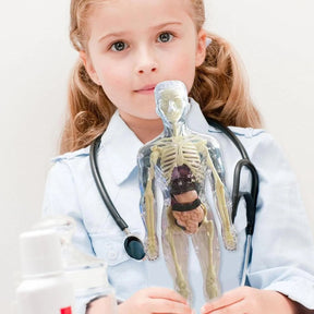 SmartSkeleton – Fun Stem Anatomy Model for Kids