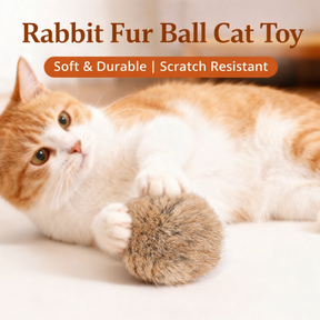WhiskerRoll - Soft Plush Cat Toy