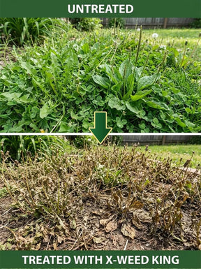 RootRevive – Garden Root Protection Treatment