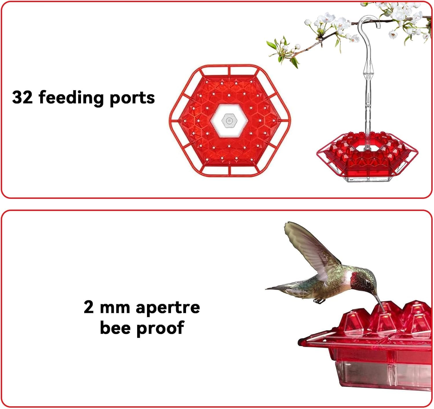 BirdBliss - Hanging Hummingbird Feeder