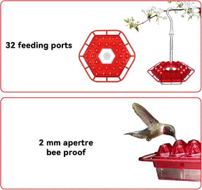 BirdBliss - Hanging Hummingbird Feeder